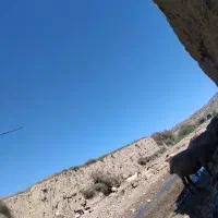 بره قوچ