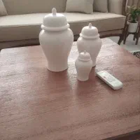 جینجر وگلدون