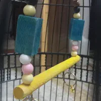 تاب مخصوص پرنده