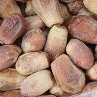 خرما زاهدی کارتنی و کیلویی