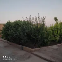 فروش خانه ویلایی ۲۷۰ متری ۳ خوابه در آبشار|فروش خانه و ویلا|تهران, آبشار|دیوار