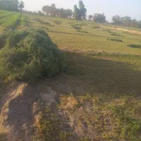 زمین کشاورزی