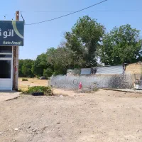 فروش شاخ گوزنی واجرا
