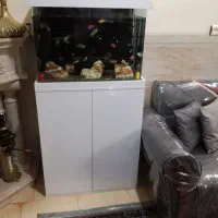 اکواریوم شیک