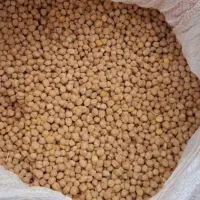 نخود|خوردنی و آشامیدنی|بروجرد, |دیوار