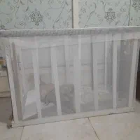 یک عدد سگ پامر  و پارک سگ  فقط ۵