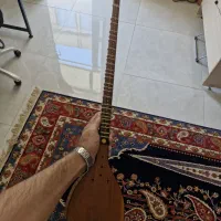 سه تار شاهرخی دو مهر