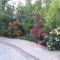 باغ ویلا زیبا خوش آب هوای فیروزه