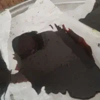 مومیایی موملایی زرگ