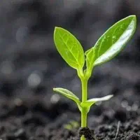 ترک اعتیاد بدون درد خماری