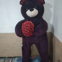 خرس دو متری