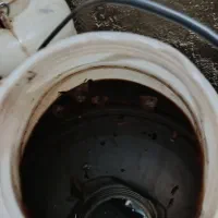 سیر ترشی