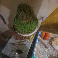 سبزی