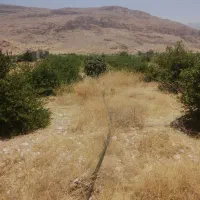 باغچه