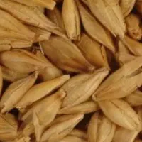 فروش جو