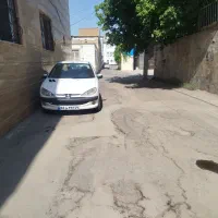 206 SD  v8
