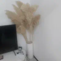 گلدان و گل پامپاس