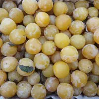 الو مخصوص لواشک وبخارا