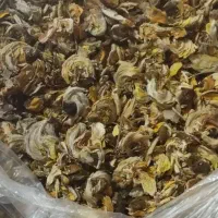 دمنوش گیاهی