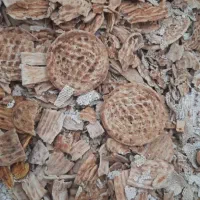 نان خشک درب منزل میگیریم ۳۵۰۰۰
