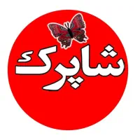 قالیشویی در سراسر تهران