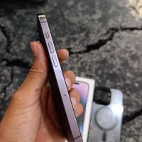 iPhone 14 Pro|موبایل|تربت‌حیدریه, فرمانداری|دیوار