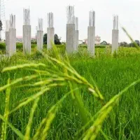 حفظ اراضی کشاورزی