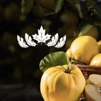 فروش ویژه نهال به اصفهان / رویال نهال