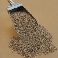 استخدام کارگر