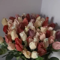 گلدانهای زیبا وخاص