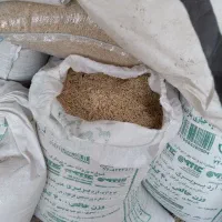 جو آبی ترکیه بهاره وکاه
