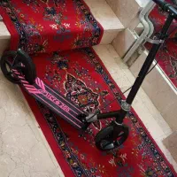 اسکوتر