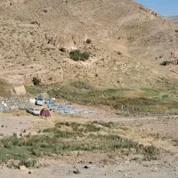 عسل صددرصد طبیعی
