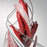 آموزش آنلاین نرم افزار اتوکد