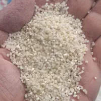 برنج ریز دانه نیمدانه  هاشمی
