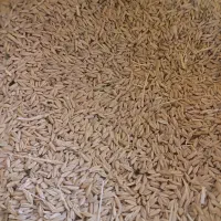 جو دامی بذری نقد و معاوضه با میش