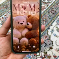 Iphone 13 pro max 256g