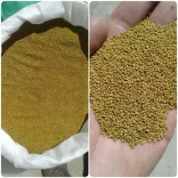 بذر یونجه قدبلند