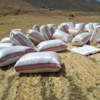 کاه نرم درجه یک