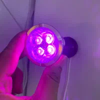 لامپ رشد گیاه