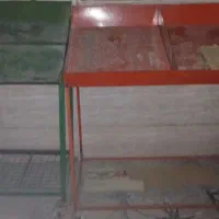 پالت میوه