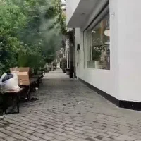 مه پاش