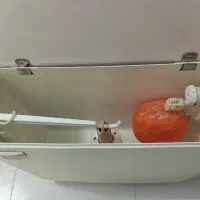 فلاش تانک