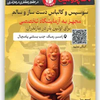 استخدام نیروی خانم جهت کار در پروتئینی