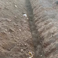 فروش زمین ۱۳۱ متری روستای سراجه