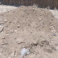 کوده حیوانی گوسفند