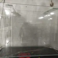آکواریوم شیشه خم