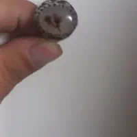شجرنقره قدیمی
