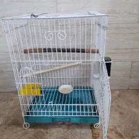 قفس پرنده