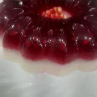 تهیه انواع ژله و ژله بستنی